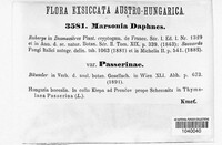 Marssonina daphnes image